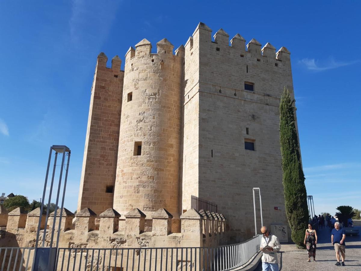 Apartamento Loft La Calahorra Con Posibilidad De Aparcamiento Pregunta Por El Pack Mas *